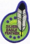 Silver Eagle Feather