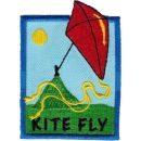 Kite Fly (D)