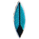 Feather