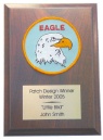 Patch Award Plaque (9 x 12)